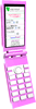 携帯電話版