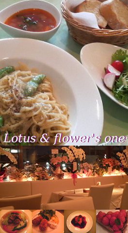 Lotus & flower's One